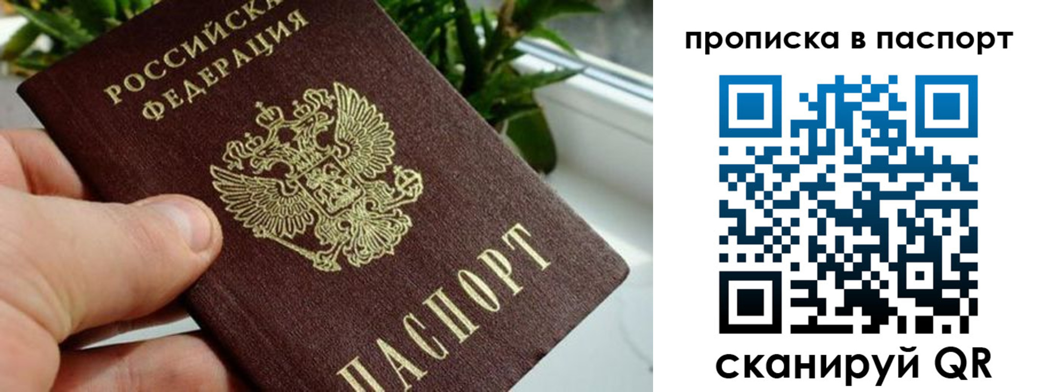 временная регистрация поиск в Поворино